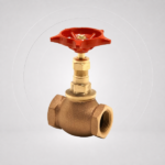 Bronze Globe Valve PN20 - VAL609