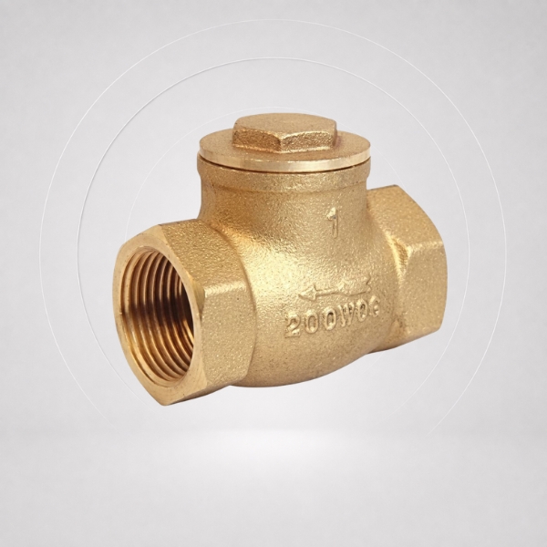45 Brass Check Valve PN20 - VAC715 - Image 1